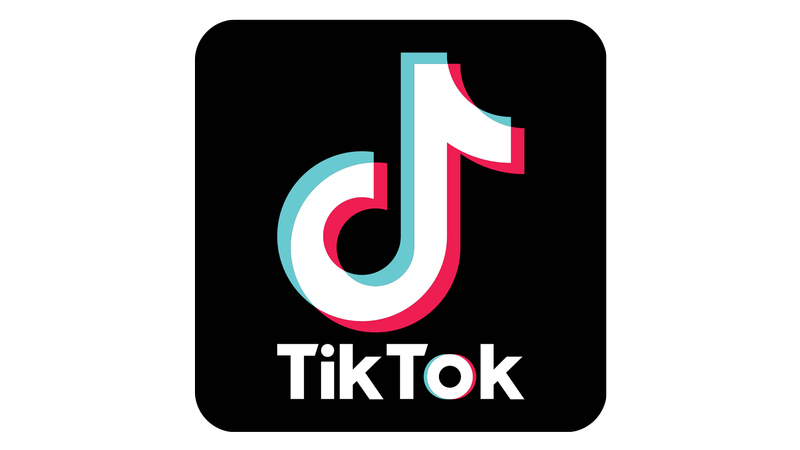 TikTok SEO and social search optimisation training