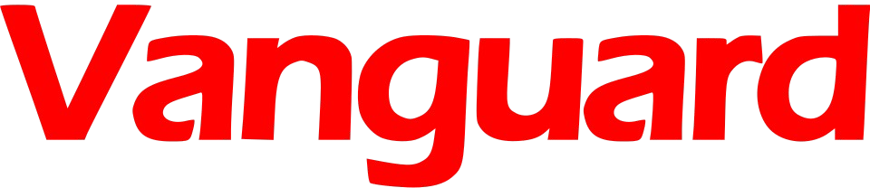 SEOGidi featured in Vanguard News