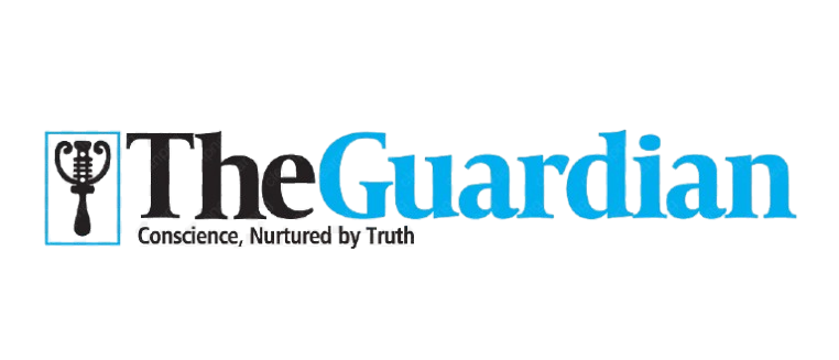 SEOGidi featured in The Guardian Nigeria