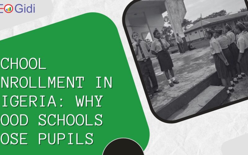 The Empty Desk Problem: Why Good Nigerian Schools Are Losing Pupils to Schools That Are Merely Louder